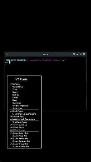 Keyboard Shortcuts using #xterm #Linux #BSD #Solaris #UNIX