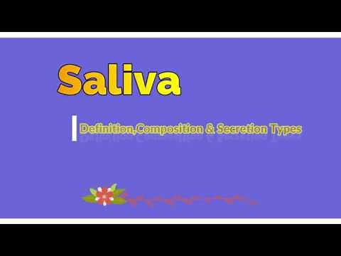 What Is Saliva? Its Composition And Secretion Types Of Saliva ; Salivary Glands | Medico Star.