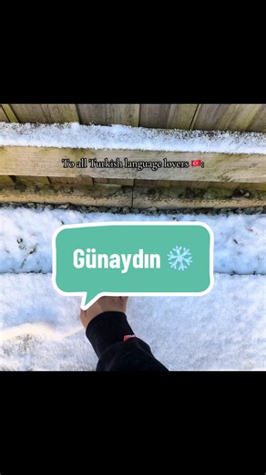 Learn Turkish Language Through Daily Moments