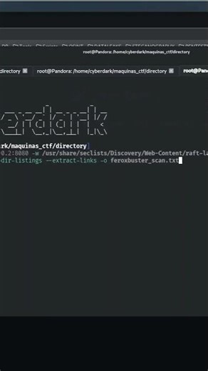Maquina DIRECTORY – FTP, SMB y Web Hacking | Reverse Shell en Python + SUID Root #python #pentesting