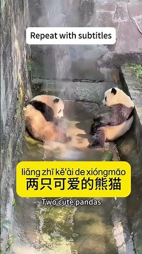 Relaxing Nature Discovery 🌿 | Beautiful View to Calm Your Mind