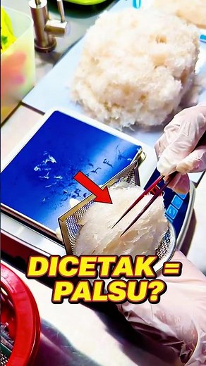Kenapa Sarang Walet Jutaan Harus Dicetak?