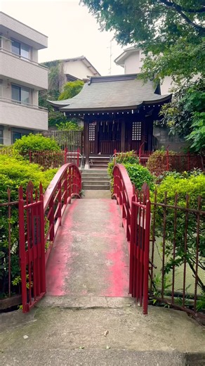 A Serene Benten Shrine Floating on a Spring-Fed Pond | 湧水池に架かる橋の先に眠る隠れた水の神と財福の社 厳島神社 洗足