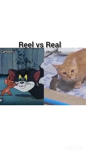 Reel vs Real 😆❤️