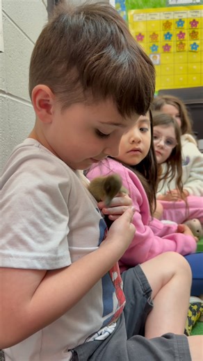 137 reactions · 8 comments | 閭 Indian Creek Elementary School first...