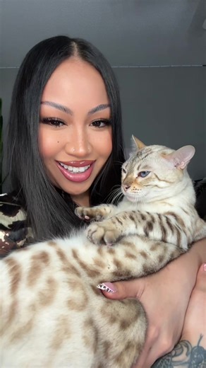 Incredible Snow Bengal Cats on TikTok