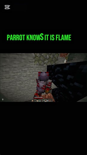 Flame trolling parrot 🤣 #mcyt #mc ##minecraft #flamefrags #parrotx2