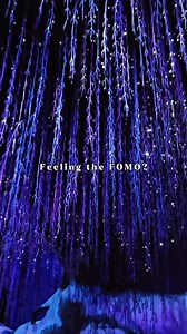 5.8K views · 11 reactions | Saw everyone having fun at Disney over Spring break? Don’t miss out on your own dream trip next year with David’s Vacation Club Rentals. Click to book your most magical stay yet: https://dvcrequest.com/ | David's Disney Vacation Club Rentals DVC Rentals | Facebook