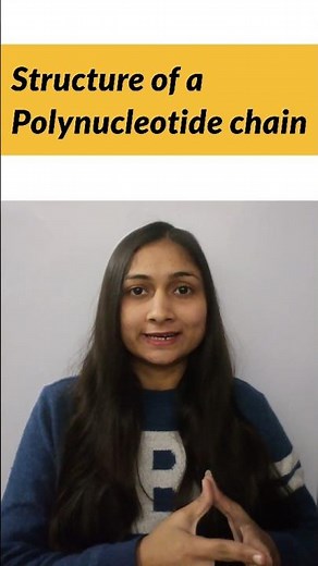 Structure of Polynucleotide chain #dna