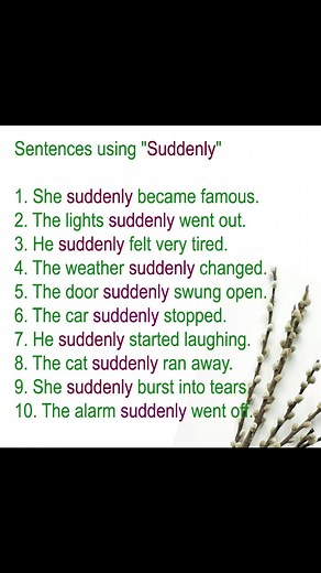 104K views · 2.7K reactions | Sentence using "Suddenly" #englishlearningbygyan #dailyenglish #englishclass #english_learning #englishteacher #learnenglish #Suddenly #suddenlyinasentence | English Learning | Facebook