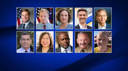 Crowded race: 10 candidates officially running to be your next governor of California