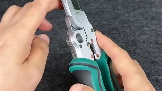 绿林（GREENER）10合一电笔剥线钳电工专用家用不锈钢剪线钳接线压线钳多功能测电