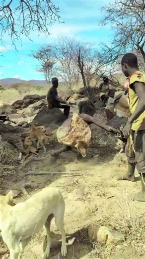 The Hadza tries to catch the chicken #africantribes #africa #hindisong #usa #reels #funny #comedy