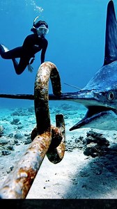 Fish catching underwater. #reels #underwaterreels #OceanShock #fishing #underwater #catchingfish | Ocean Shock World