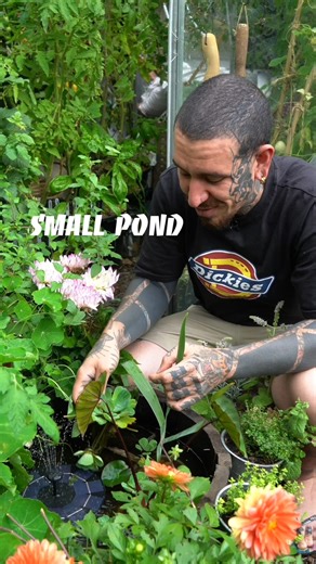 240K views · 6.6K reactions | DIY any-space pond  #diy #DIYProjects #diyhomedecor #ponds #gardening | Spicymoustache | Facebook