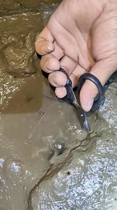 Aww So Amaing videos fishing | Amazing Life Channel