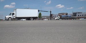 To swerve or not to swerve: What experts say when approaching an animal on the road