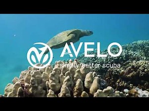 Dive into the Future: The Avelo Dive System Explained