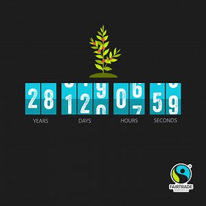 4.5K views · 109 reactions |  It's time for change. Click "Learn More" to get involved. | Fairtrade America | Facebook