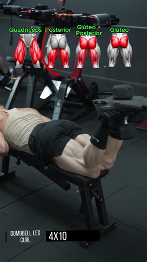 5 Basic Exercises for Real Leg Growth