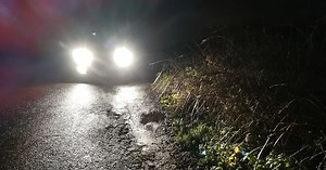 The definitive list of dogging sites you should avoid after dark