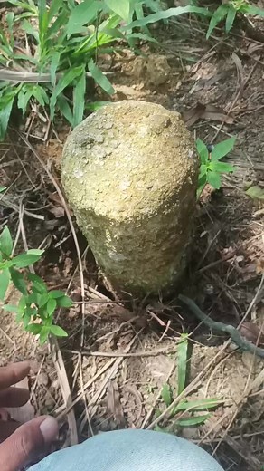 Batu Sempadan: Denda dan Kos Penanaman Semula