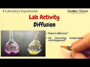 Diffusion- Lab Activity