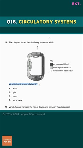 IGCSE Biology - Multiple Choice (paper 2, extended) - exams from 2026 #biology #exams #revision