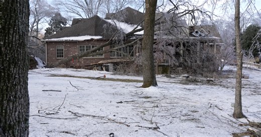 Ice storm cleanup brings expensive challenges when it comes to tree removal