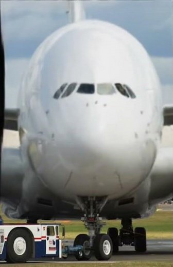 Airbus A380 Sings & Dances to "I'm Blue (Da Ba Dee)" — Hilarious FaceDance Plane Meme! | AVIADZONE