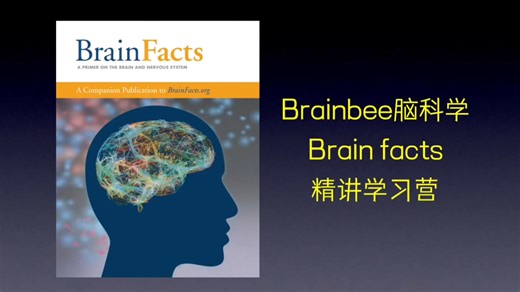 Brainbee脑科学 Brainfacts 精讲学习营