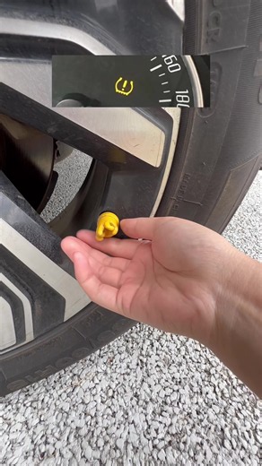 Herramienta TPMS para restablecer sensores y verificar presión