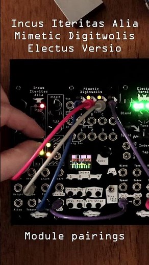 Module pairings | Noise Engineering #eurorack
