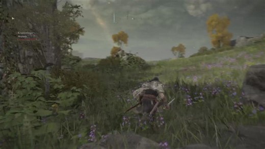 Elden Ring vs. Ehering 💕🔥