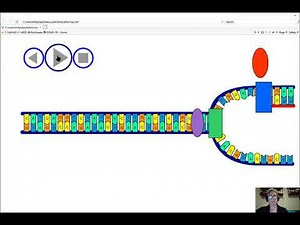 DNA Replication Narrated Animation