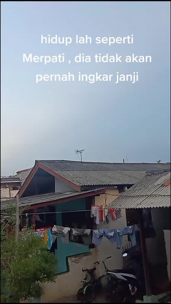 #merpatibalapindonesia #balapburung #burungdarabekasi