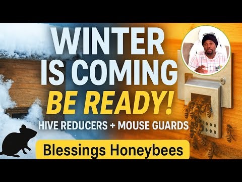 WINTER IS COMING: How to Mouse-Proof Your Hive and Stop a Colony Killer