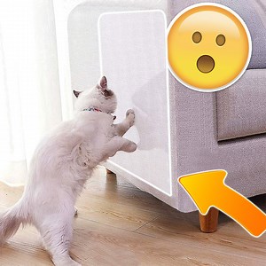 Tired of your furry friends destroying furniture? Introducing the ScratchGuard™ Furniture Protector - the ultimate guardian against cat claws and teeth! 🛡️ 🐾 Trains cats to stop scratching furniture 💪 Withstands claws and teeth 🕑 Effortless to apply just peel and stick 🌫 Transparent to ensure seamlessness 🔄 Easy to reposition or move to different areas 💯 Satisfaction guaranteed or your money back Don't let cat scratches ruin your peace of mind and the beauty of your home. Click 'Shop Now'