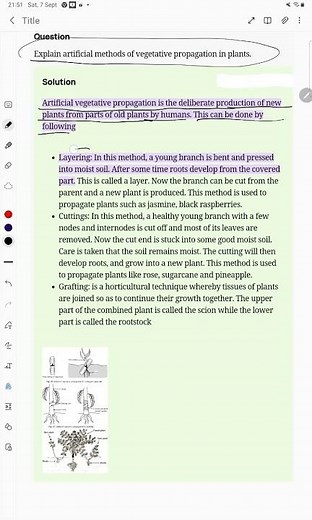 Explain artificial methods of vegetative propagation in plants.