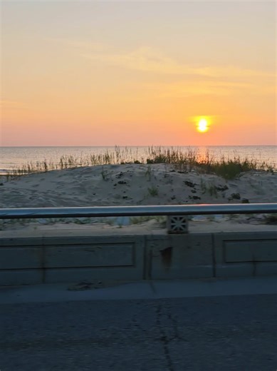 Nicole Reed on TikTok