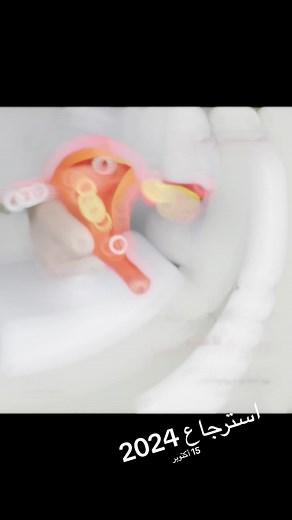 Understanding the Human Female Reproductive System