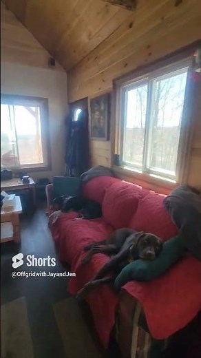 Off Grid Tiny Cabin Tour in 60 seconds