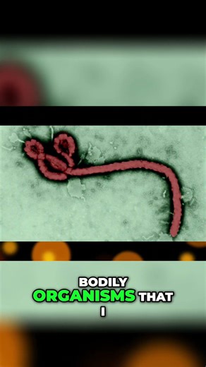 Ebola: How It Spreads & Its Origin From Bats #shorts