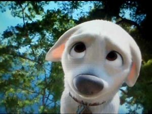 Bolt learns puppy face