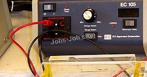 Bagaimana Gel Elektroforesis Digunakan Dalam Ilmu Forensik? | Deskripsi pekerjaan - 2026