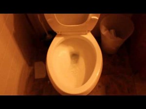 How To Flush a Toilet (HowToBasic Parody)