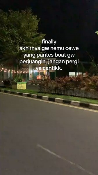 Nighttime Street Scenes Captured from a Moving Vehicle