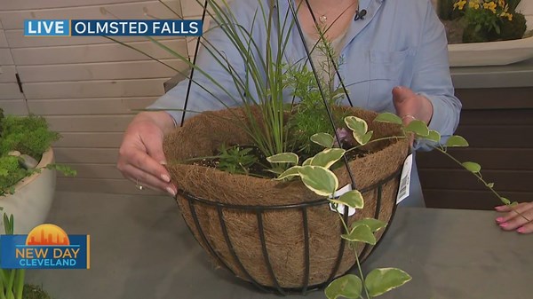 Spring Plants & Florals