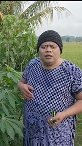 237K views · 8K reactions | SKETSA KOMEDI - CEU PIYAH PASEA JENG TUKANG OJEG #BODORANSUNDA #SKETSASUNDA #KOMEDIANSUNDA #CEUPIYAHTV @sorotan | Ceu Piyah | Facebook