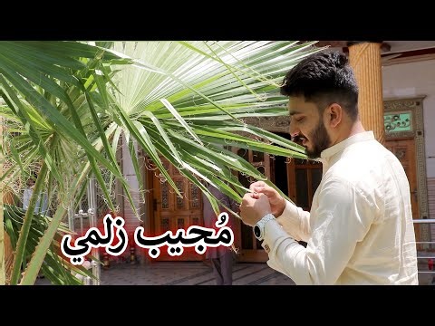 Aam Olas: Ep # (1103) | Mujeeb Zalmay.